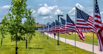 Rows of American flags in honor of veterans