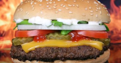 The 50s burger king