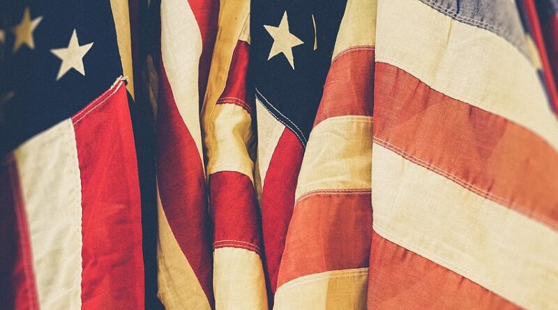 A Cluster of American Flags