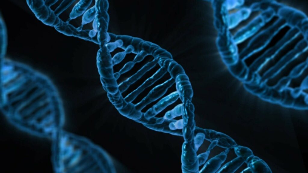 '50s scientific discovery DNA