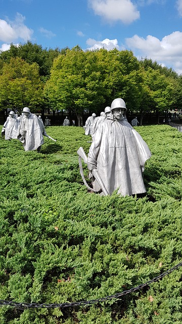 Korean war veterans 