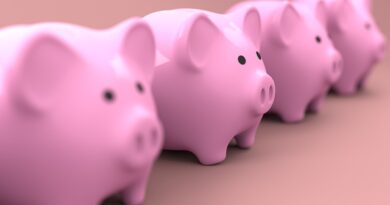 Piggy bank Social Security problem